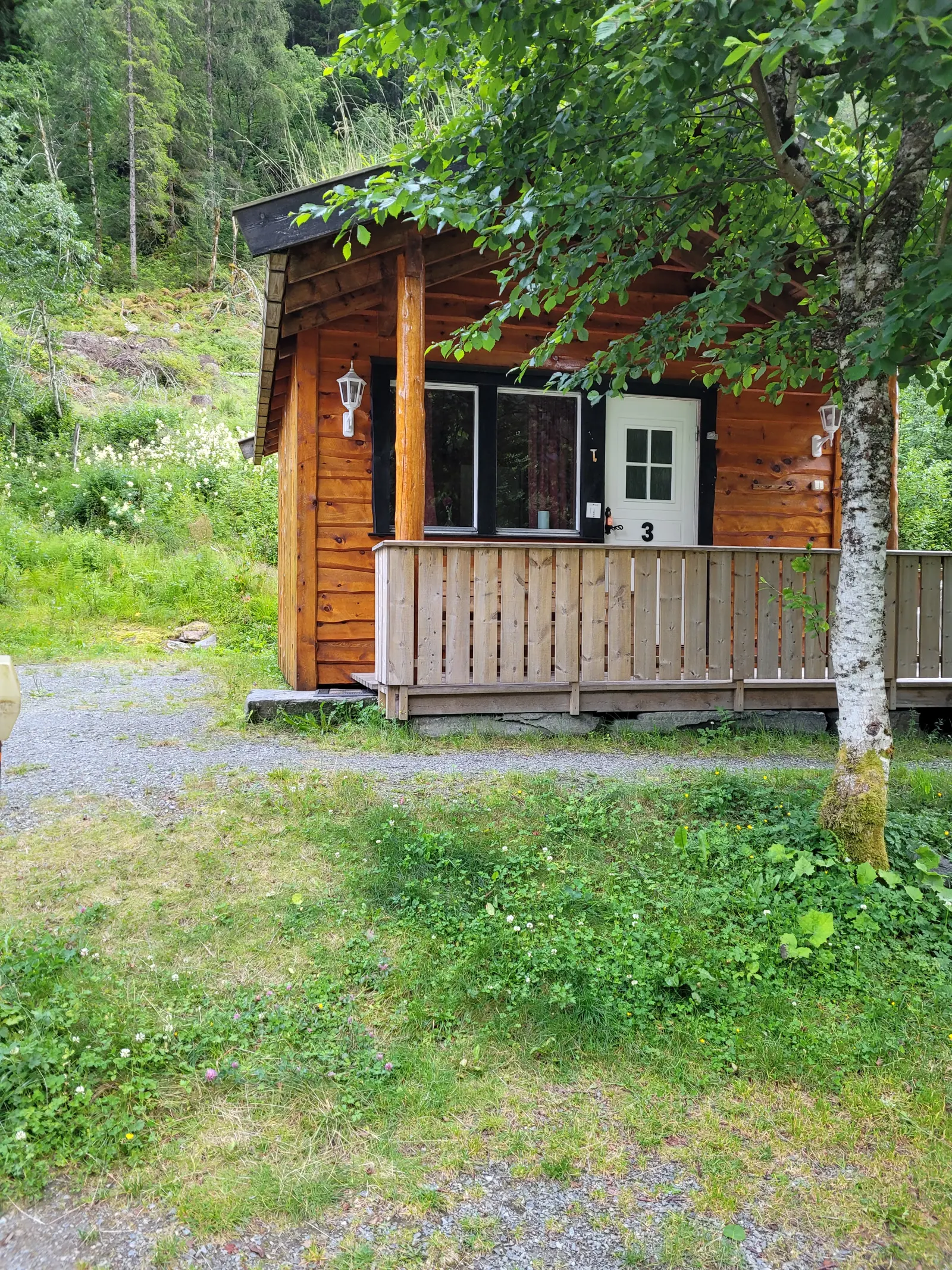 Hytte med veranda blant bjørketrær