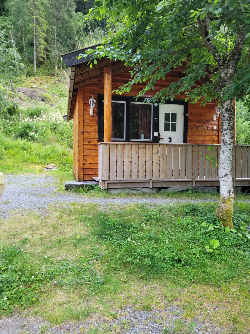Hytte med veranda blant bjørketrær