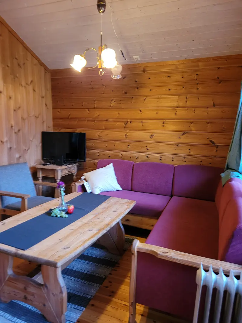 Stue med sofa i hytta