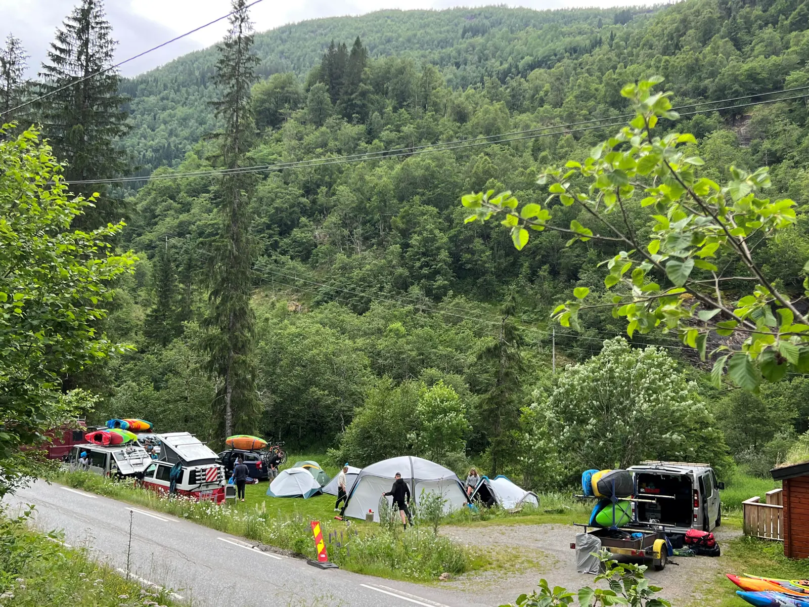Telt og campingvogner i kanten av skogen